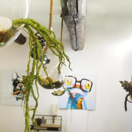 Legnosuites 3 3 Bathrooms Group And Family By Houseinnaples